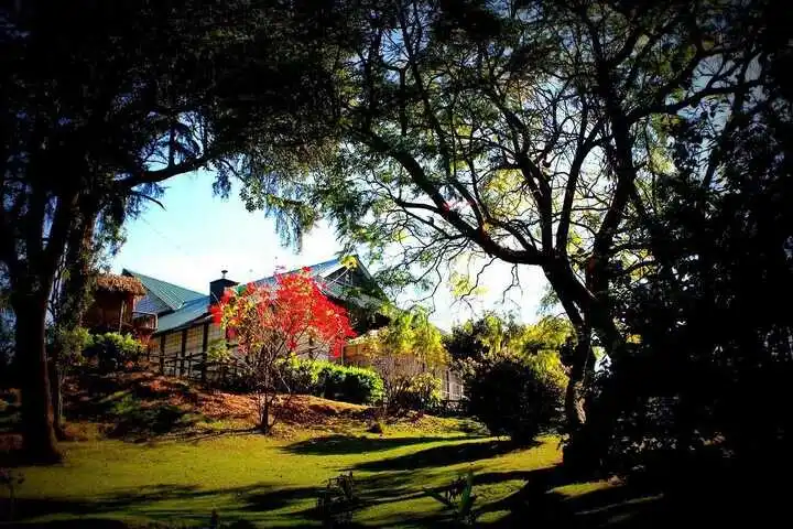 PINEWOOD HOTEL