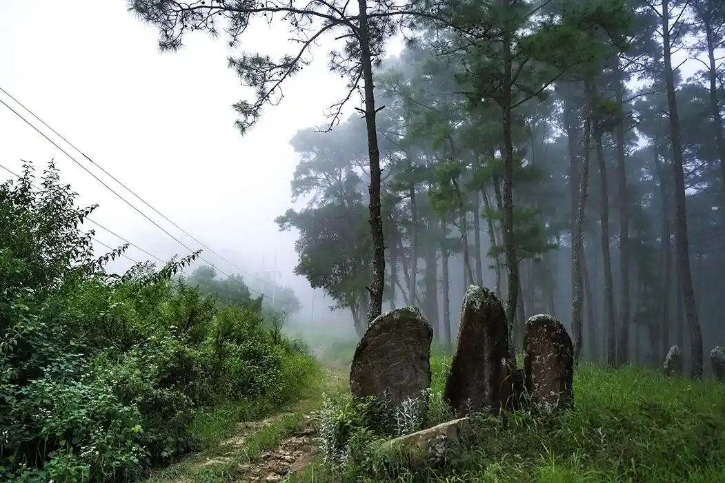 The Flights of Fantasy Trek